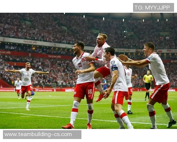 2017年世预赛丹麦对阵波兰精彩回顾与赛后分析