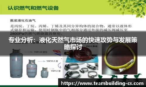 专业分析：液化天然气市场的快速攻势与发展策略探讨